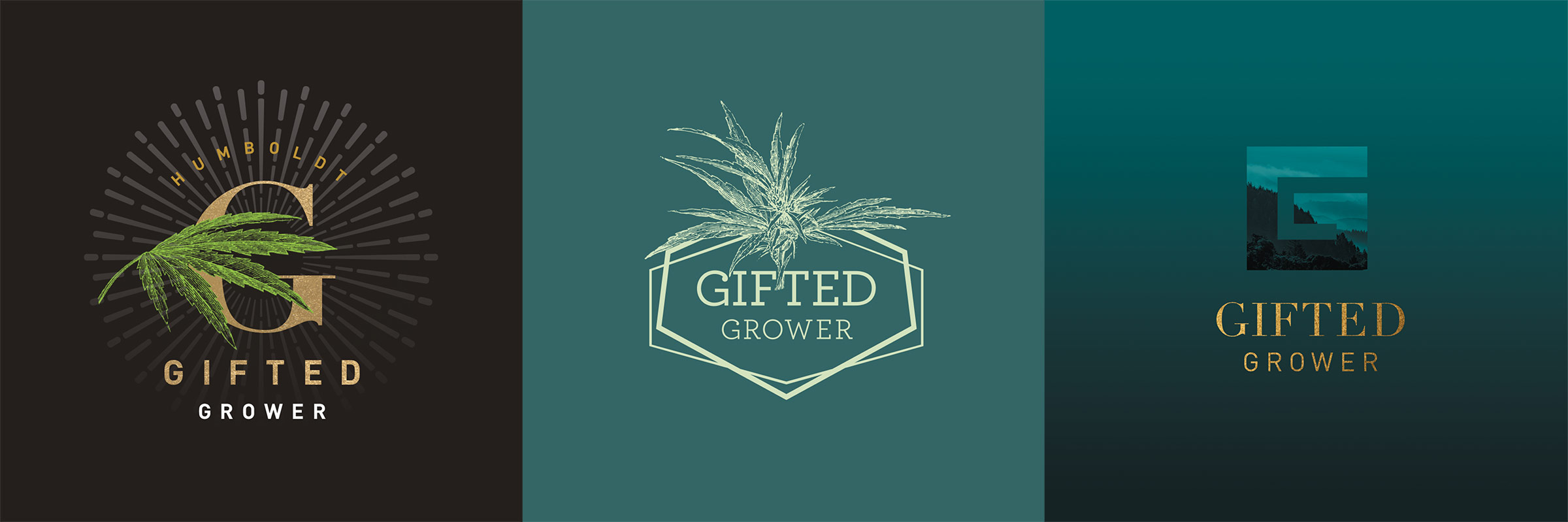 Gifted Grower brand design