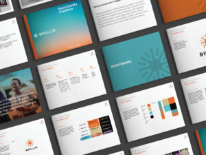 brillia-rebrand-brand-giudelines
